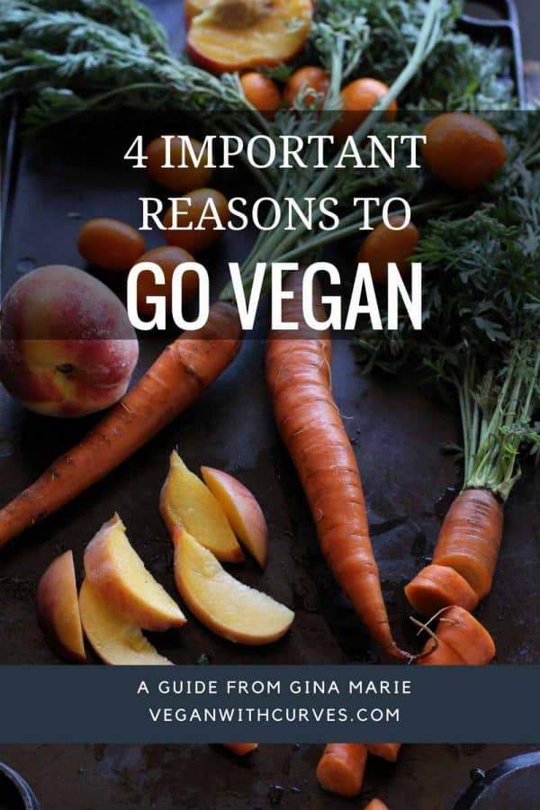 4 Important Reasons to Go Vegan - Vegan With Curves