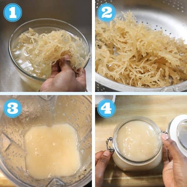 How to Make Sea Moss Gel - That Girl Cooks Healthy