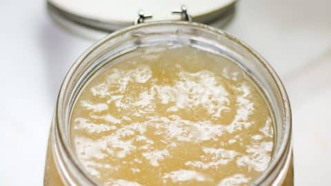 How to Make Sea Moss Gel - Vegan With Curves