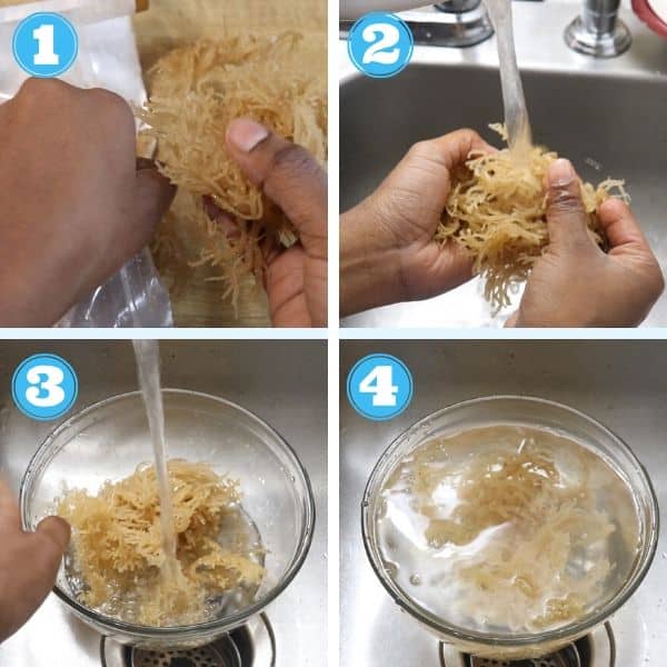 4 grid step by step photos of rinsing and soaking sea moss