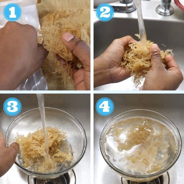 How To Make SEA MOSS GEL! In 3 Easy Steps! 