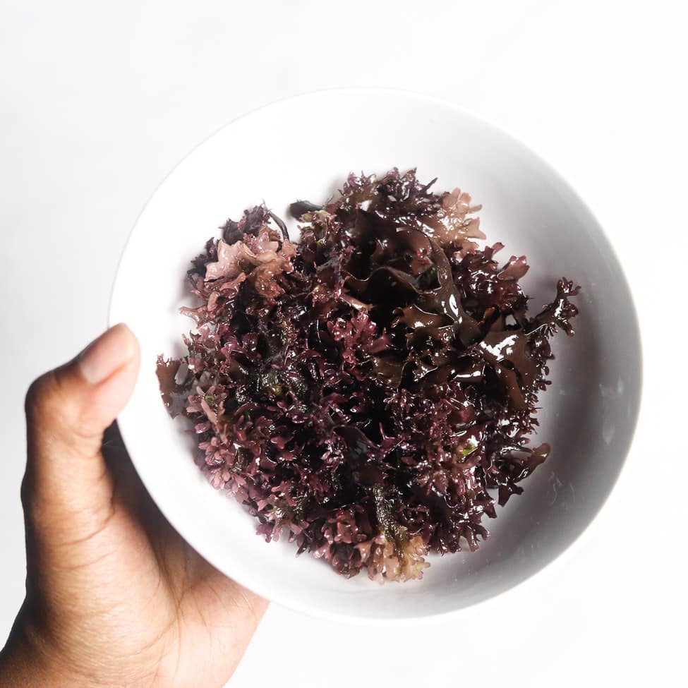 Chondrus Crispus Irish Moss in a white bowl