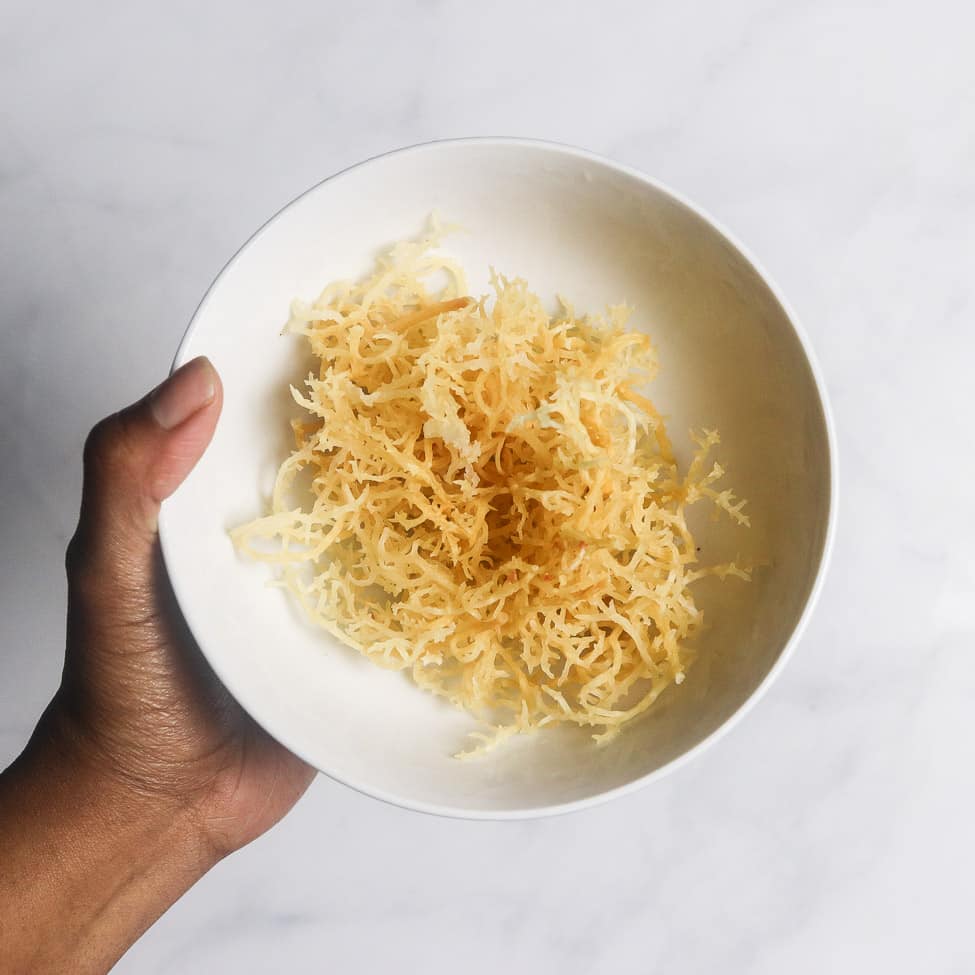 Genus Gracilaria Sea Moss in a white bowl