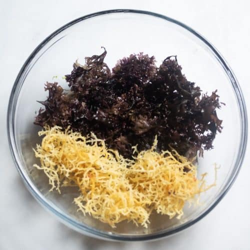 The 2 Main Different Types of Sea Moss Vegan With Curves
