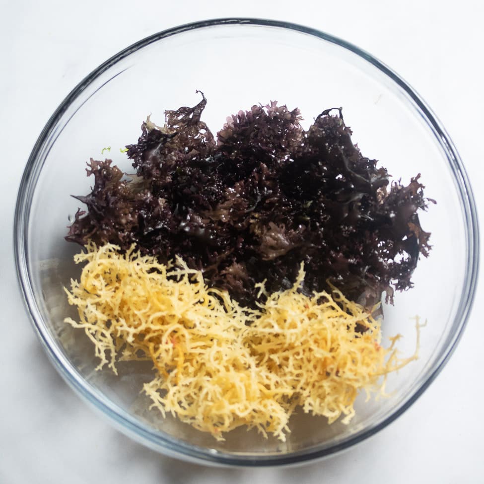 top angle of Irish Moss and Sea Moss in a glass bowl