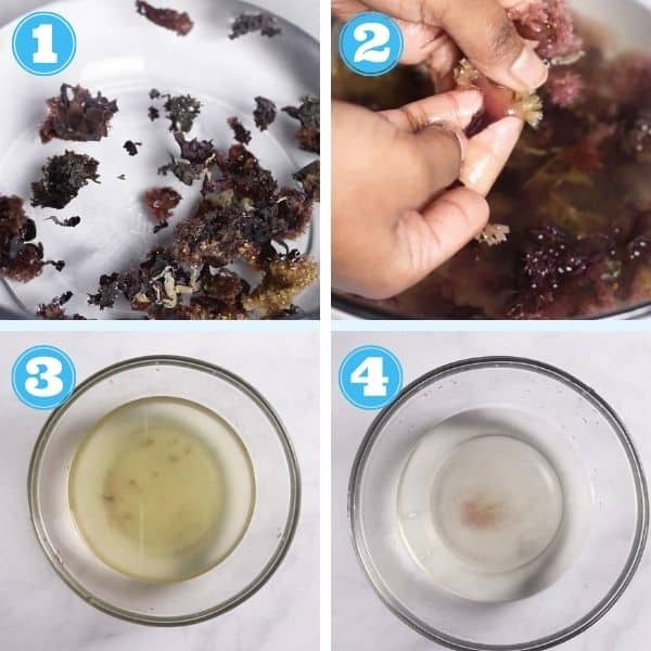 4 grid step by step photo of making sea moss gel