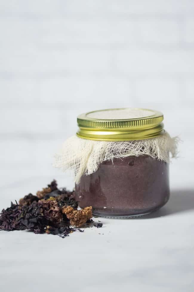 purple sea moss gel in a jar covered with a cheese cloth next to dried Chondrus Crispus