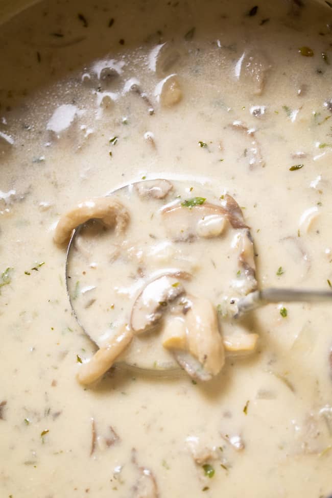 close up photo of cream of mushroom soup with a ladle