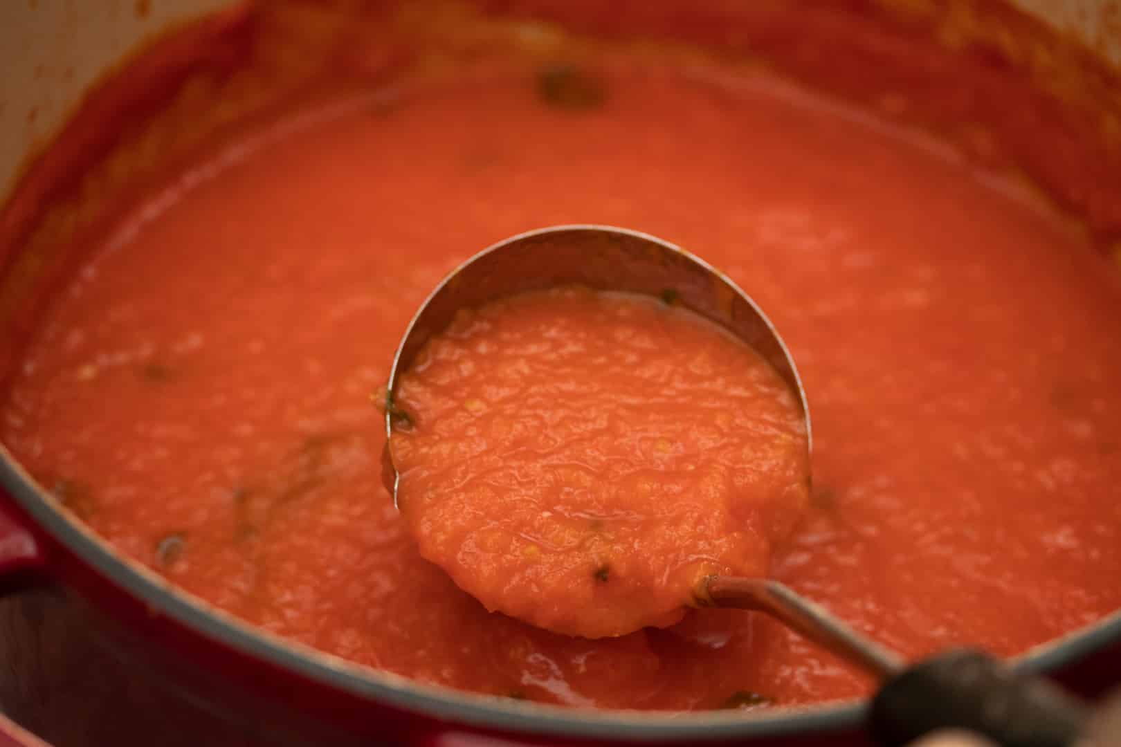 How to Make Fresh Plum Tomato Sauce (Dr. Sebi Inspired) Vegan With Curves