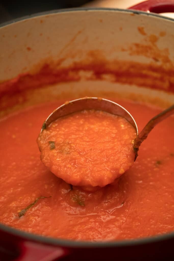 tomato sauce in a ladle in a pot