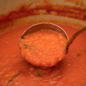 tomato sauce in a ladle