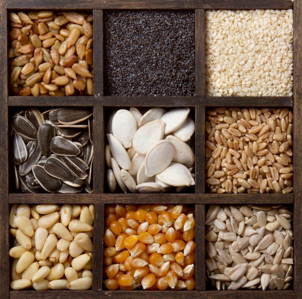 Assorted edible seeds arranged in a printers box